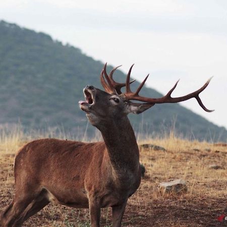 Alojamiento Rural Dehesa La Estancia Andújar Exterior foto