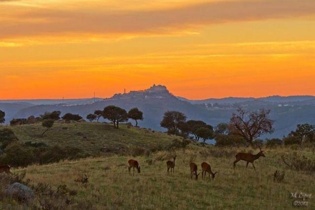 Alojamiento Rural Dehesa La Estancia Andújar Exterior foto